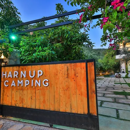 Harnup Kas